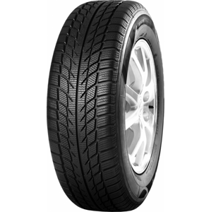 West lake SW608 SNOWMASTER 195/55 R15 89H