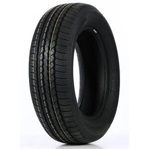 Doublecoin DS66HP 225/55 R19 99V